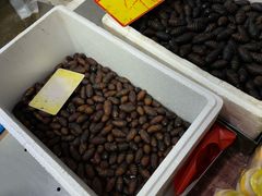 -登州市场(登州路店)