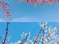 -南京国际会议大酒店