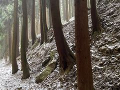 -太阳湾风景区