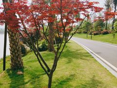 -枫香湖儿童公园