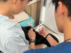 -申普宠物医院·眼科·心内科·影像科(普陀分院)