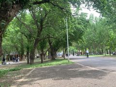 -长白岛森林公园