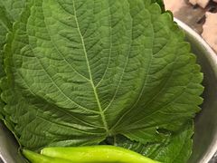-炽城·烤肉名家(鸿达中央广场店)