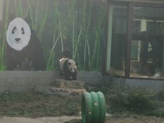 -南昌动物园
