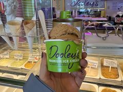 -Dooley's Premium Ice Cream