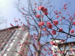 -合肥融创永乐半山酒店·永乐半山西餐厅