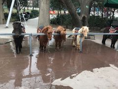 -西安秦岭野生动物园