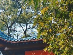 -岳麓山风景名胜区