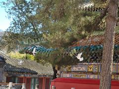 -潭柘寺景区