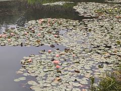 -白鹭湾湿地公园