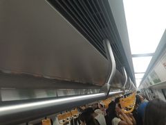 -宋家庄(地铁站)