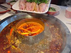 红鲨-蜀滋香鲜鱼美蛙火锅(339店)