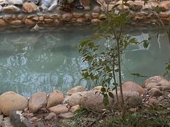 -深业半汤御泉庄温泉