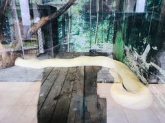 -上方山森林动物世界