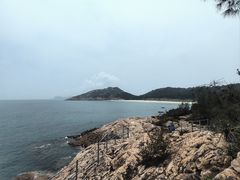 -广东惠东海龟国家级自然保护区