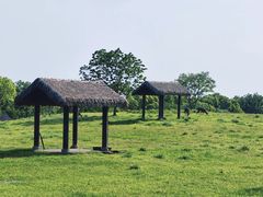 -良渚古城遗址公园