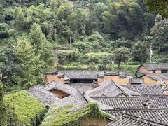 -杨家堂村