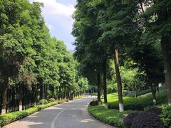 -龙头寺公园