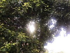 -天泉水都(子固路馆)