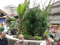 -恺庐茶园(宽窄巷子景区店)