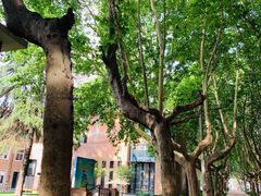 -西安电影制片厂