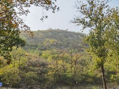 -白水寺森林公园