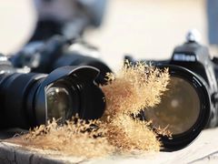 -野鸭湖国家湿地公园