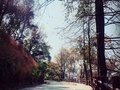 -广州市石门国家森林公园