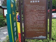 -神仙树公园