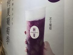 -树夏(建设路店)