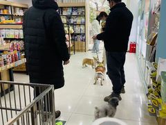 -翊宠yipet猫狗购宠庄园犬舍•猫舍