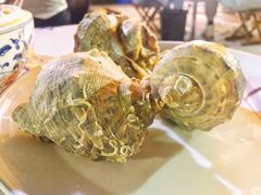 -小螺号海鲜·地道鲁菜(泉城广场店)