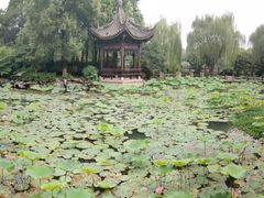 -乌镇望津里精品酒店