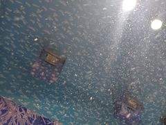 -史努比缤纷世界