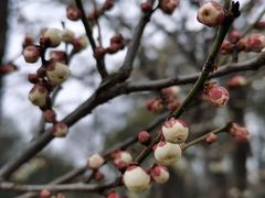 -蜀冈西峰生态公园