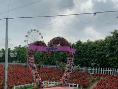 -广东花都香草世界旅游度假区