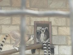 -石家庄市动物园