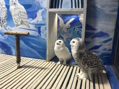 -成都浩海立方海洋公园