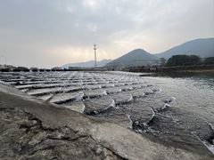 -明仕田园