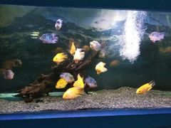 -沙沙哗啦海洋馆(华宇百花谷店)
