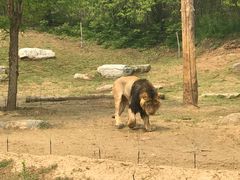 -北京野生动物园