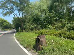 -同里国家湿地公园