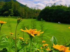 -黄埔油麻山森林公园