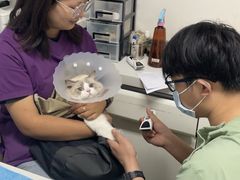 -达爱动物医院·犬猫分区·CT·复杂眼科(远洋山水分院)