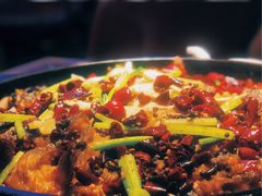 -老板恋上鱼(恒隆广场店)