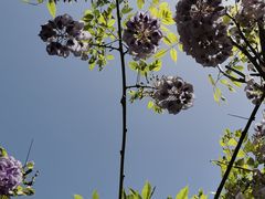 -北京市劳动人民文化宫(太庙)
