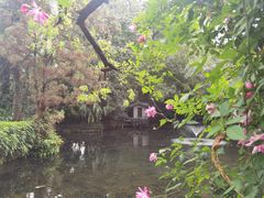 -广州兰圃