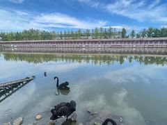-河北村民俗体验园