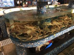 -温州龙湾国际机场温德姆酒店