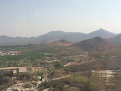 -石家庄市动物园